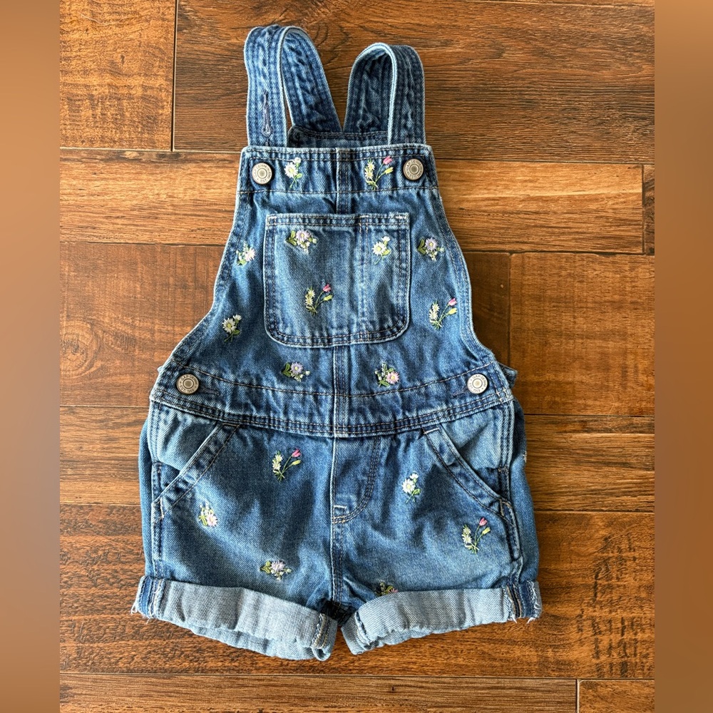GAP Blue Floral Embroidered Kids Overalls